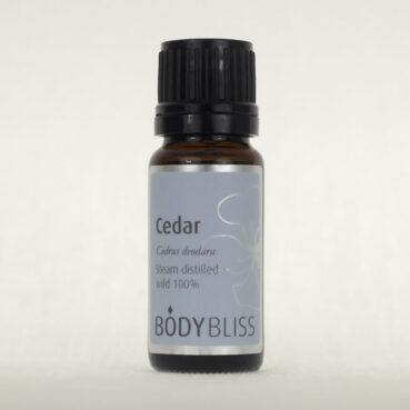 Cedar